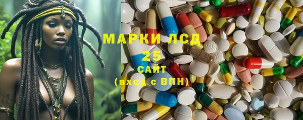 дживик Володарск